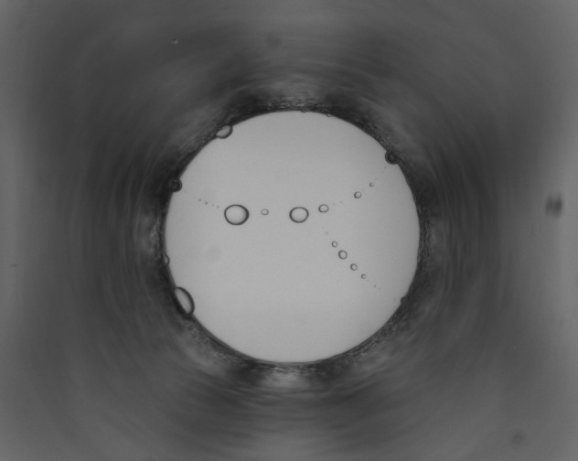 X0000089390177200707131726