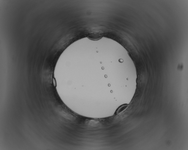 X0000089390180200707131727