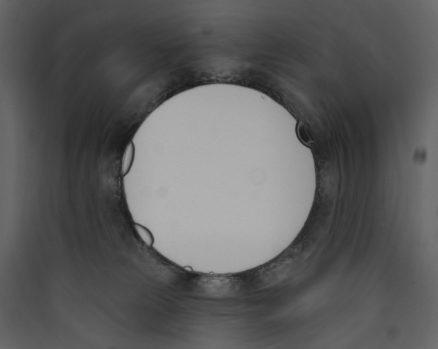 X0000089390181200707131727