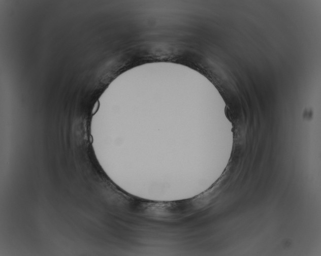 X0000089390182200707131727