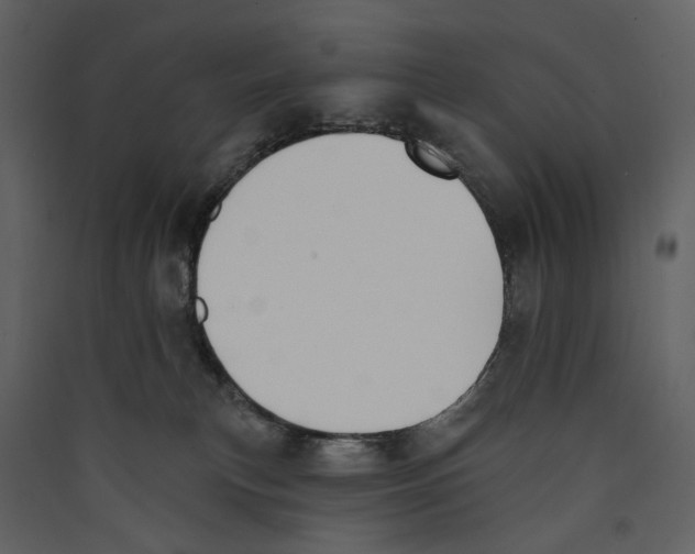 X0000089390183200707131727
