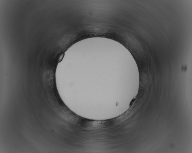 X0000089390184200707131727