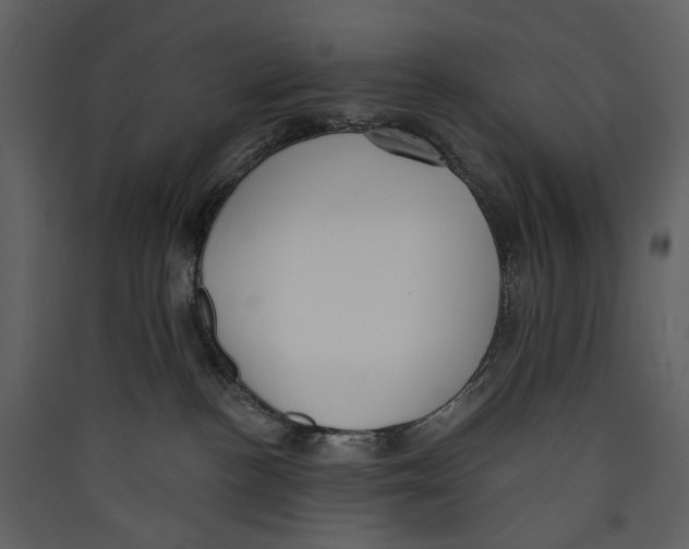 X0000089390188200707131727