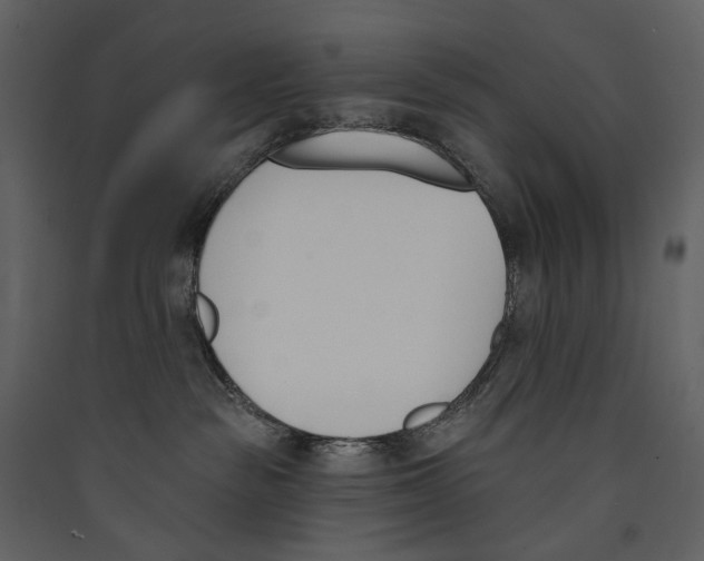 X0000089390189200707131727