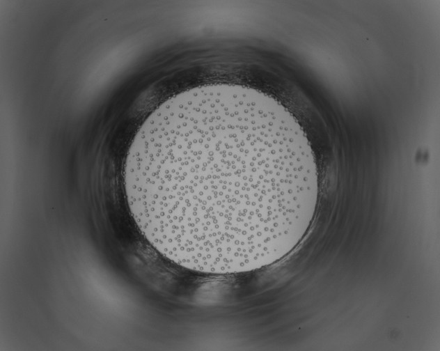 X0000089390191200707131727