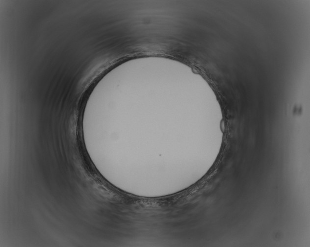 X0000089390194200707131726