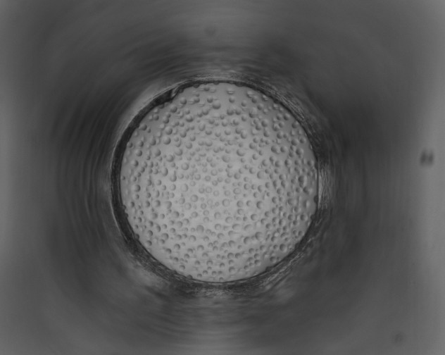 X0000089390195200707131726