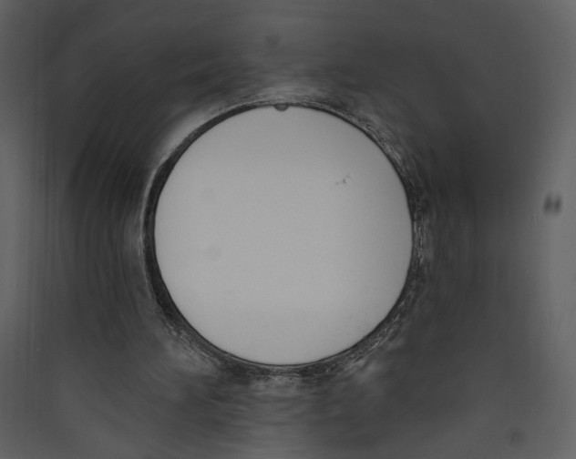 X0000089390196200707131726