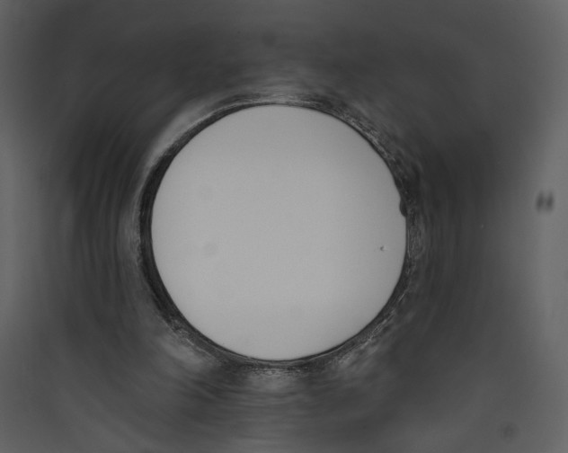 X0000089390198200707131726