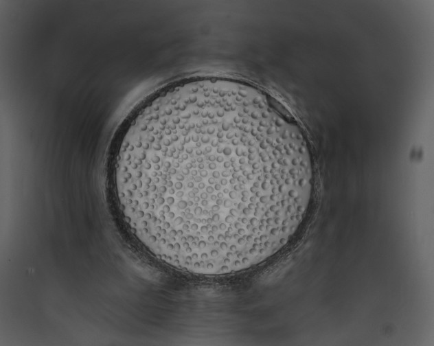 X0000089390199200707131726
