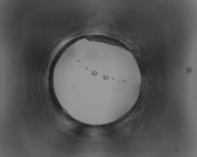 X0000089390200200707131726