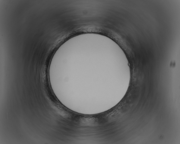 X0000089390202200707131726