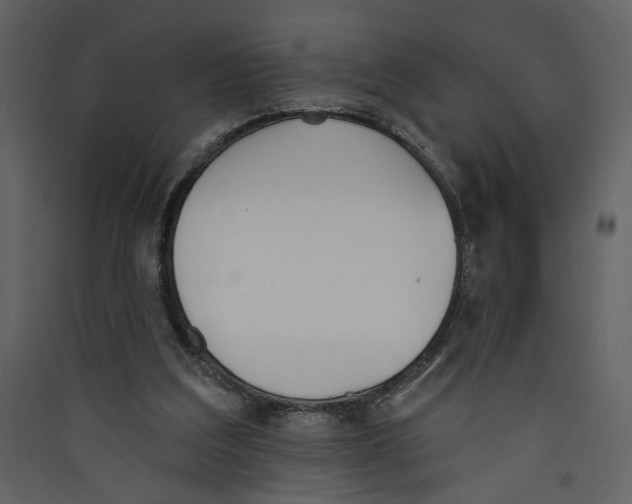 X0000089390203200707131726