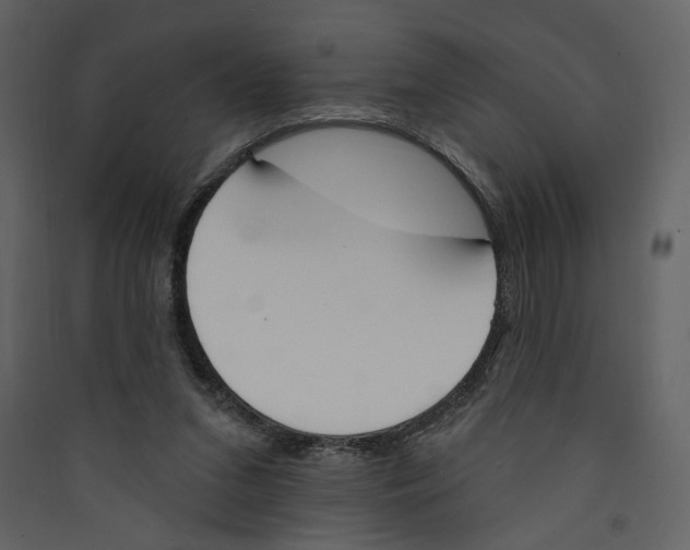 X0000089390207200707131726