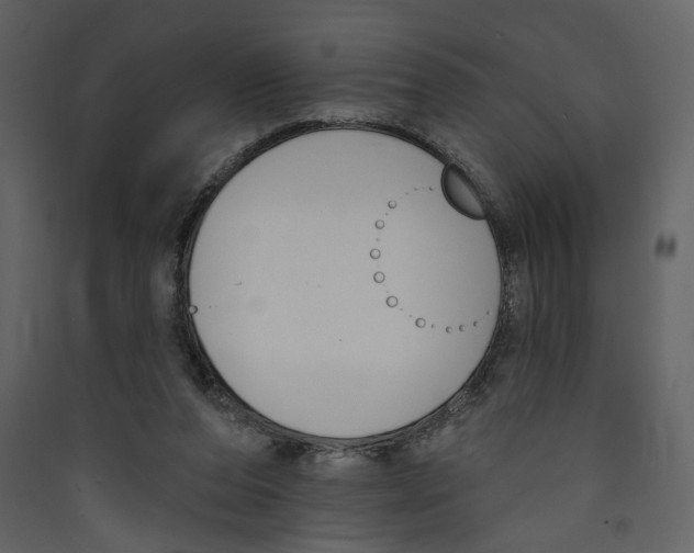 X0000089390208200707131726