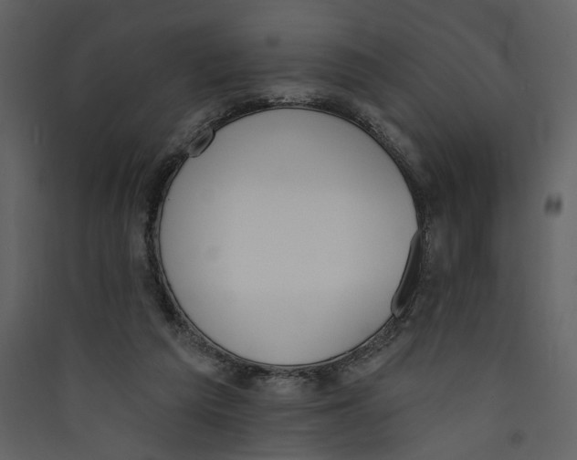 X0000089390209200707131726