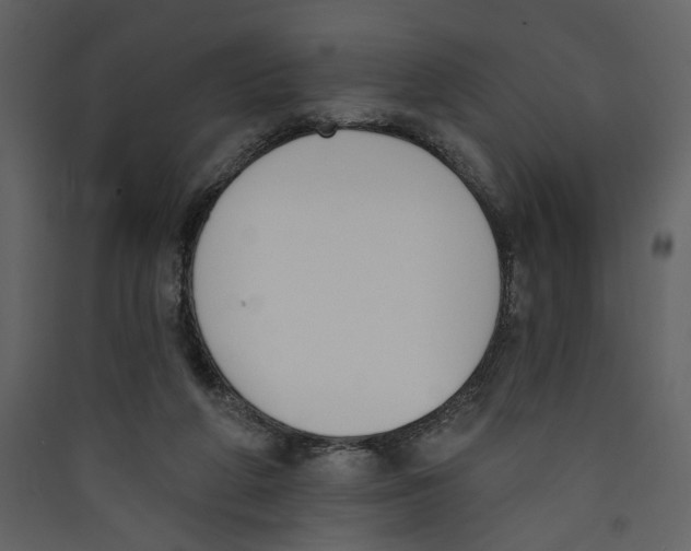X0000089390210200707131726