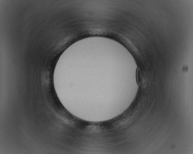 X0000089390211200707131726