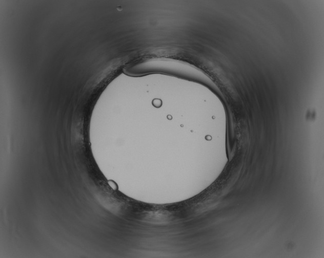 X0000089390212200707131726