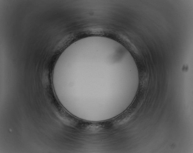 X0000089390213200707131726