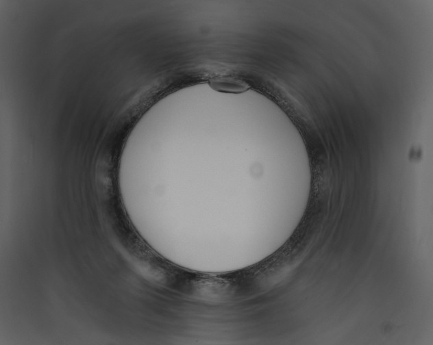 X0000089390215200707131726