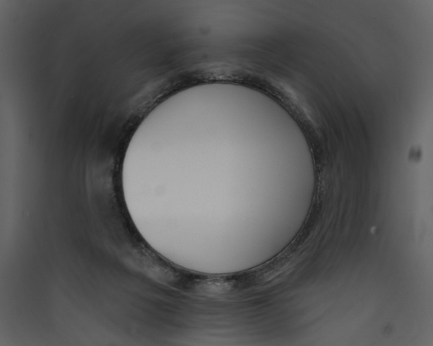 X0000089390217200707131726