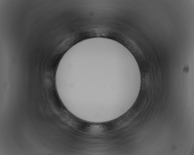 X0000089390218200707131726