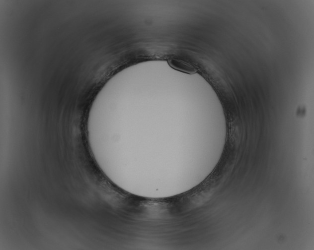 X0000089390221200707131726
