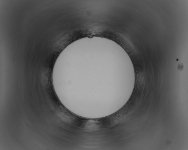 X0000089390222200707131726