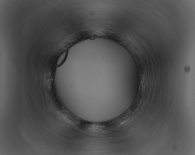 X0000089390223200707131726
