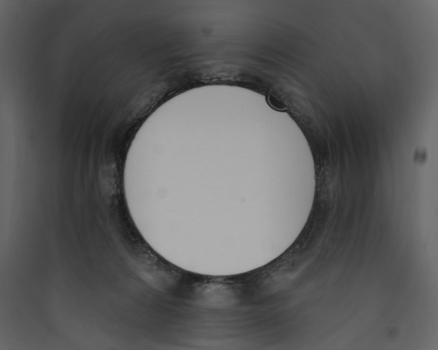 X0000089390224200707131726