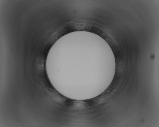 X0000089390226200707131726