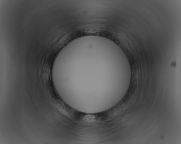 X0000089390227200707131726