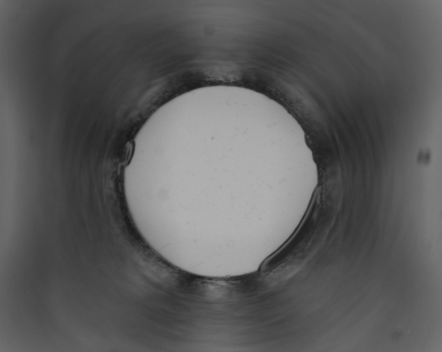 X0000089390229200707131726