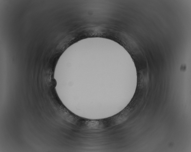X0000089390230200707131726