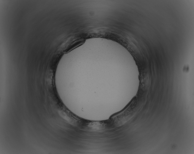 X0000089390231200707131726
