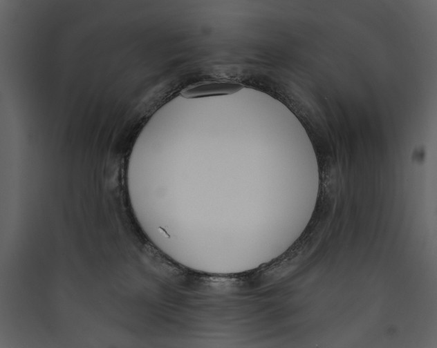 X0000089390233200707131726