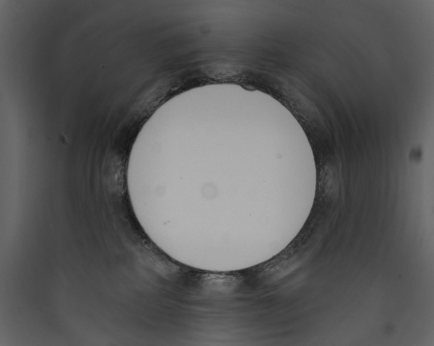 X0000089390234200707131725