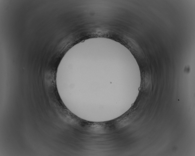 X0000089390236200707131725