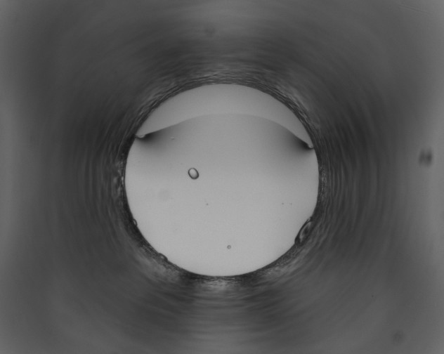 X0000089390237200707131725