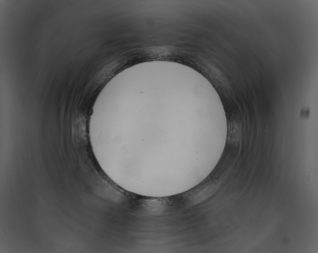 X0000089390238200707131725