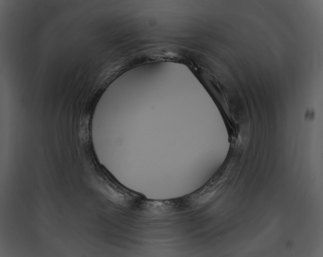 X0000089390239200707131725