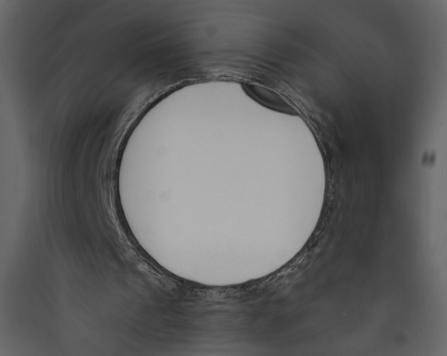 X0000089390241200707131725