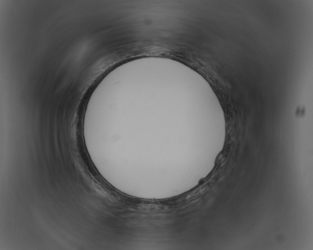 X0000089390242200707131725