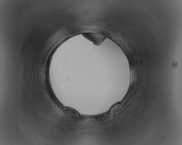 X0000089390243200707131725