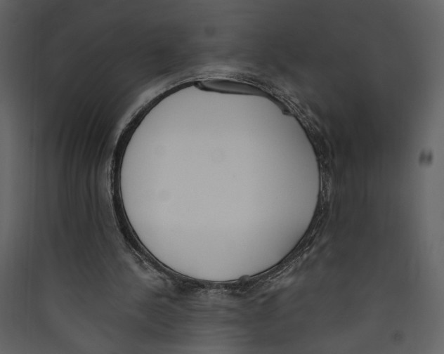X0000089390244200707131725