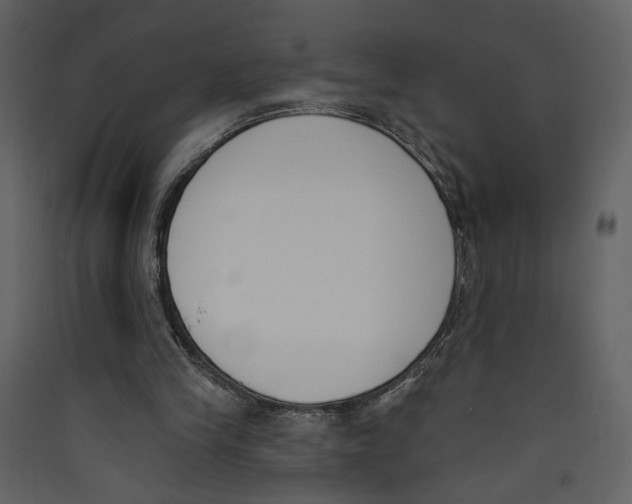 X0000089390245200707131725