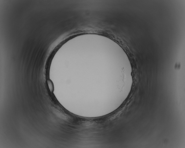 X0000089390246200707131725