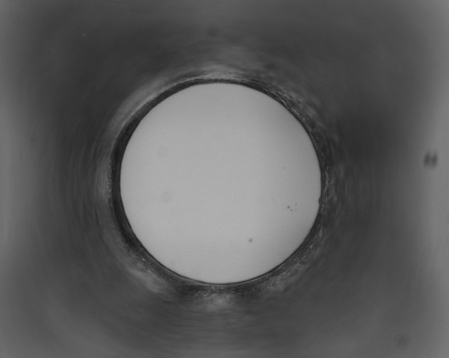 X0000089390247200707131725