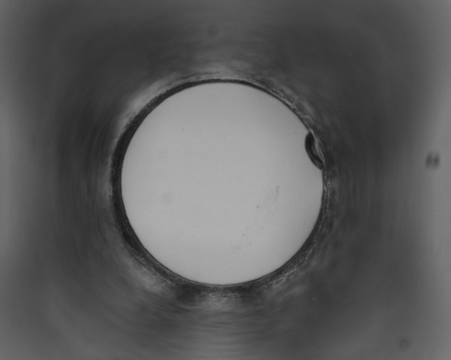 X0000089390248200707131725